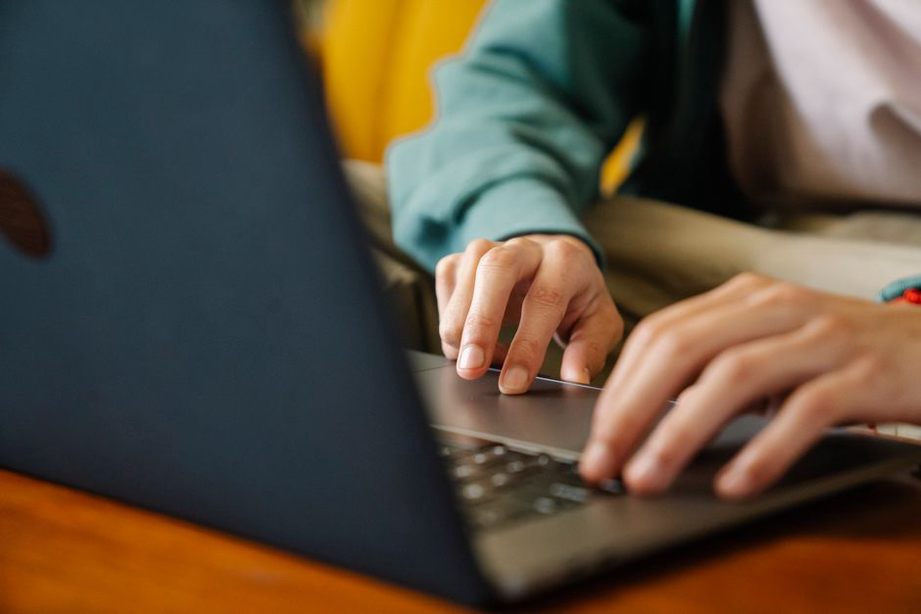 person checking a license on a computer screen